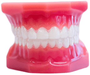 clear aligners model